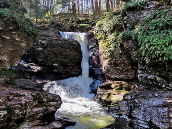 picture taken during a hike