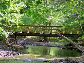 picture taken during a hike