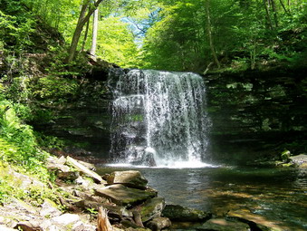 picture taken during a hike