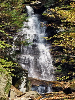 picture taken during a hike