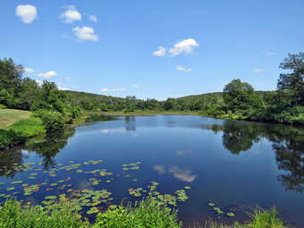 picture taken during a hike