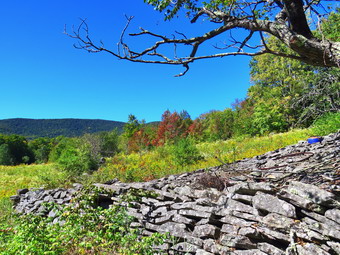 picture taken during a hike