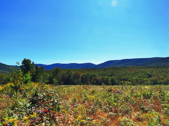 picture taken during a hike