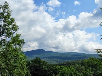 picture taken during a hike