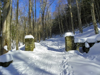 picture taken during a hike