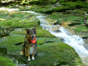 picture taken during a hike