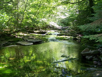 picture taken during a hike