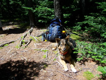 picture taken during a hike