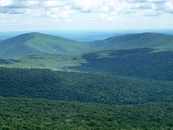 picture taken during a hike