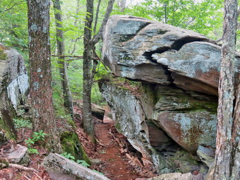 picture taken during a hike