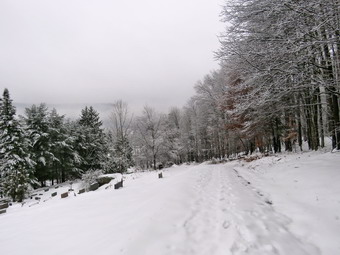 picture taken during a hike