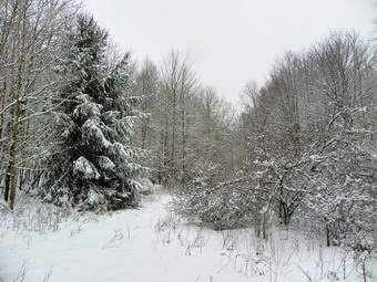 picture taken during a hike