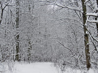 picture taken during a hike