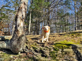 picture taken during a hike