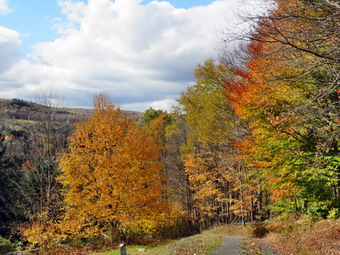 picture taken during a hike