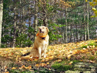 picture taken during a hike