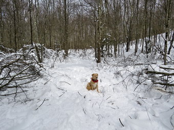 picture taken during a hike