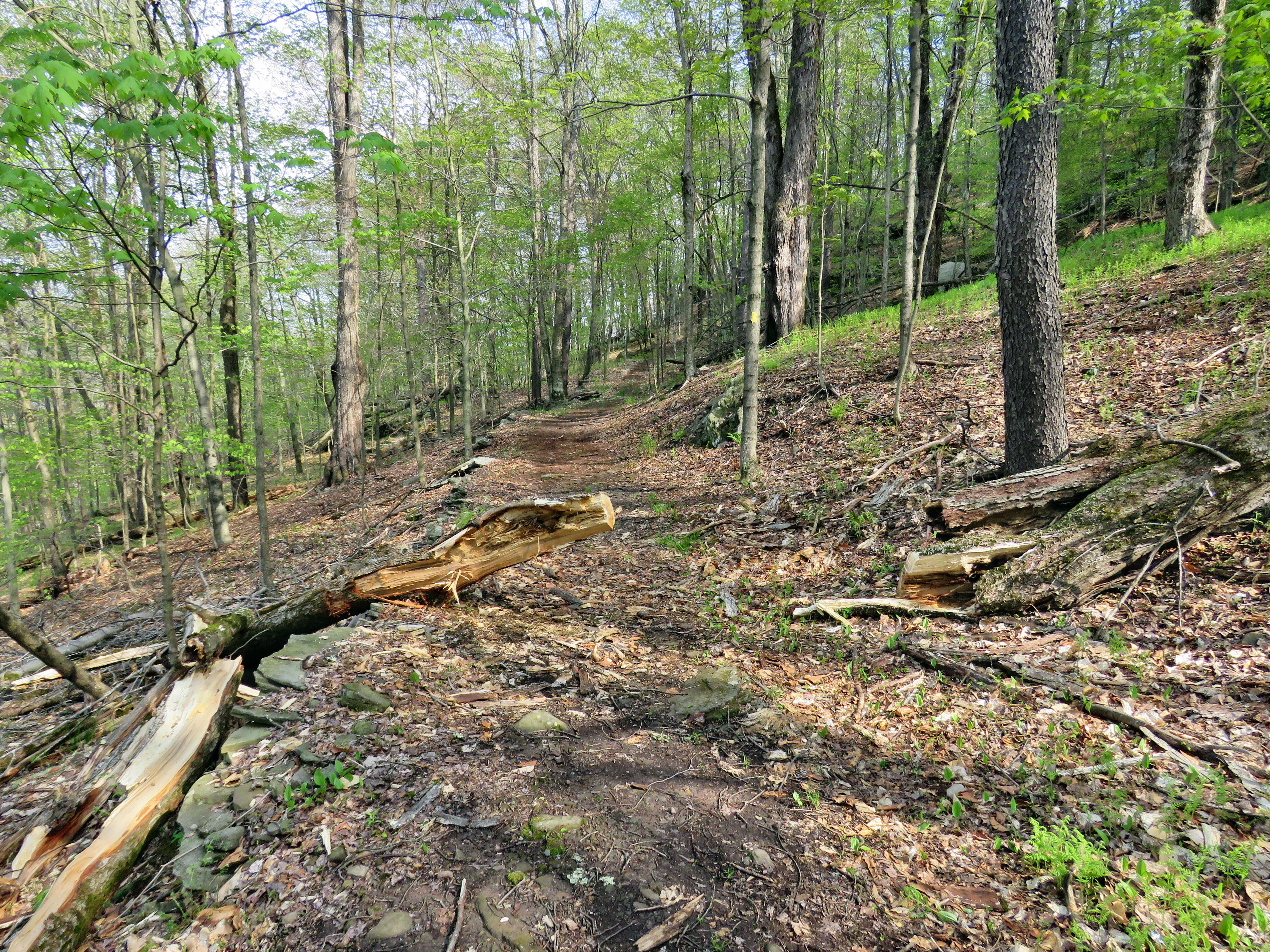 picture taken during a hike