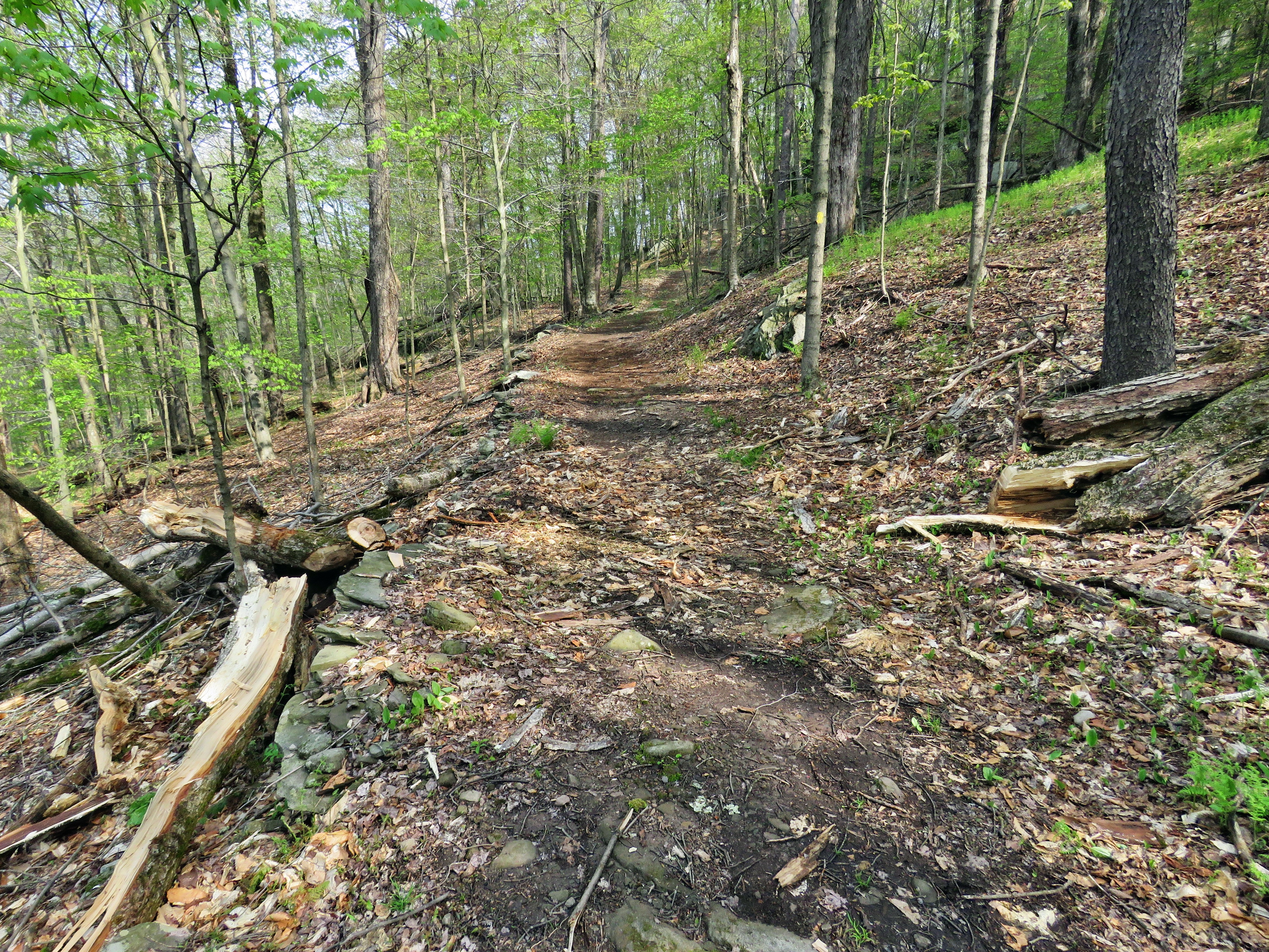 picture taken during a hike