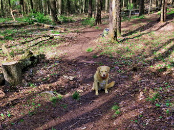 picture taken during a hike