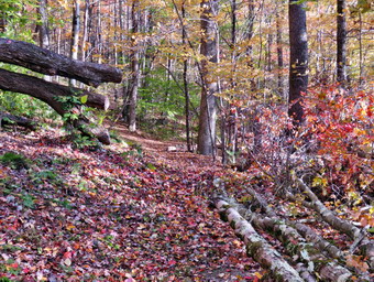 picture taken during a hike