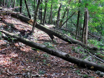 picture taken during a hike