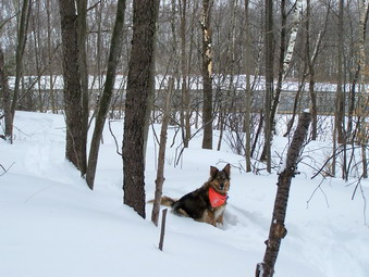 picture taken during a hike