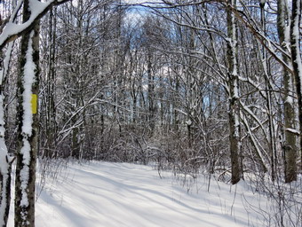 picture taken during a hike