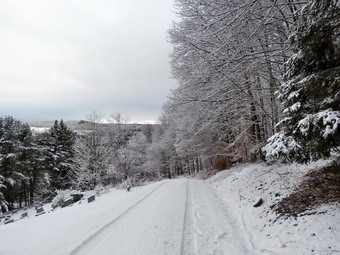 picture taken during a hike