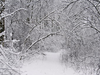 picture taken during a hike