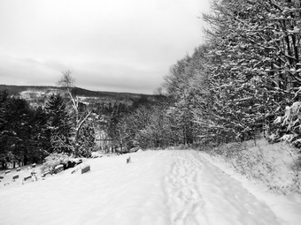 picture taken during a hike