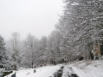 picture taken during a hike