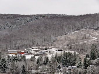 picture taken during a hike