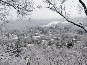 picture taken during a hike