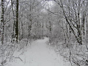 picture taken during a hike