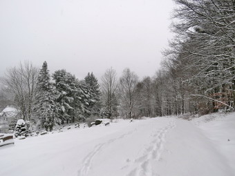 picture taken during a hike