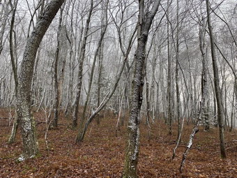 picture taken during a hike