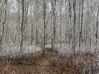 picture taken during a hike