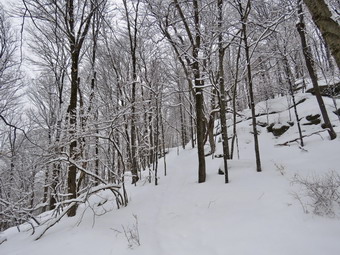 picture taken during a hike