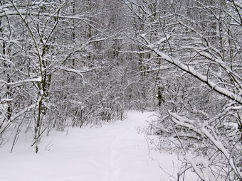 picture taken during a hike