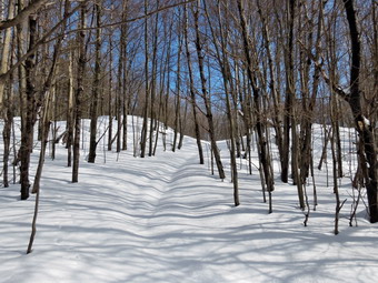 picture taken during a hike