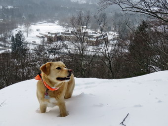 picture taken during a hike