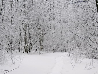 picture taken during a hike