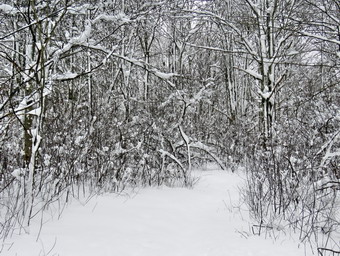 picture taken during a hike