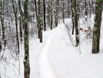 picture taken during a hike