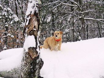 picture taken during a hike