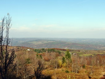 picture taken during a hike