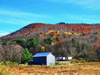 picture taken during a hike