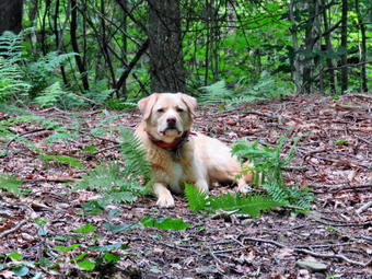 picture taken during a hike