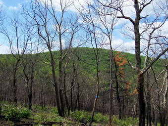 picture taken during a hike